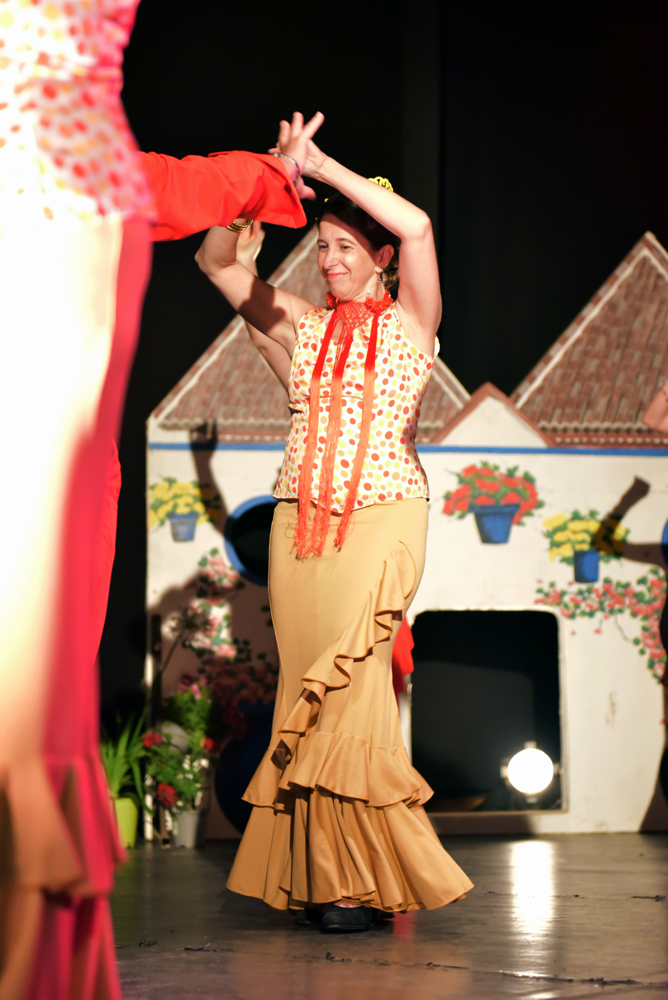 Spectacle Entre flamenco y lunares, photo 1
