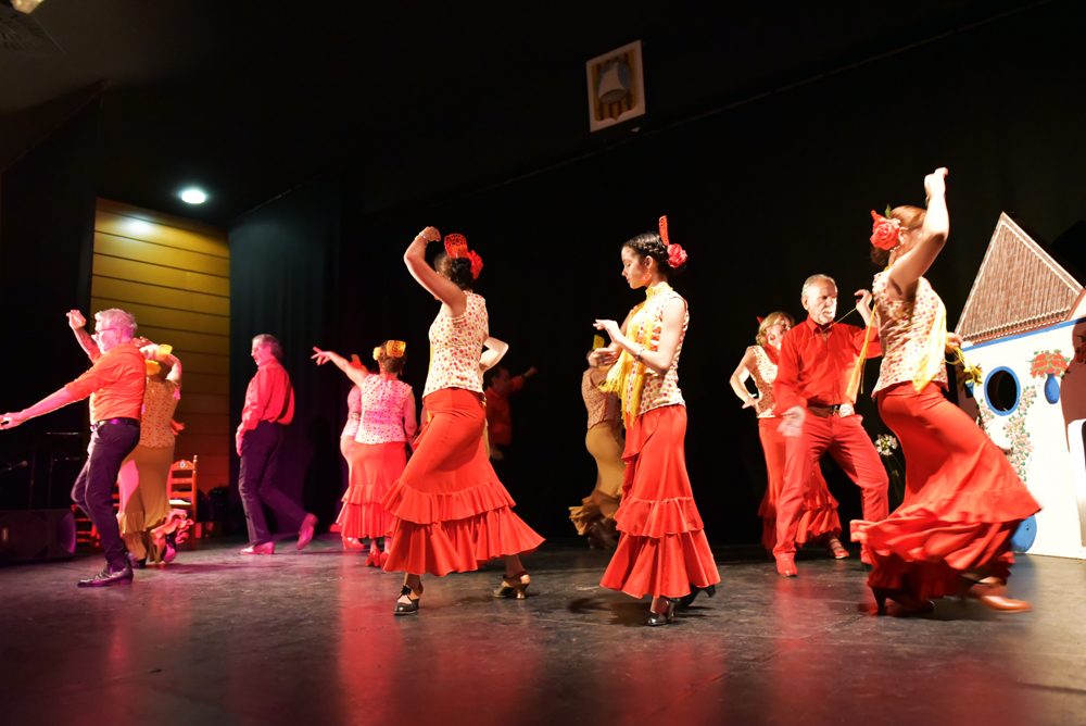 Spectacle Entre flamenco y lunares, photo 2