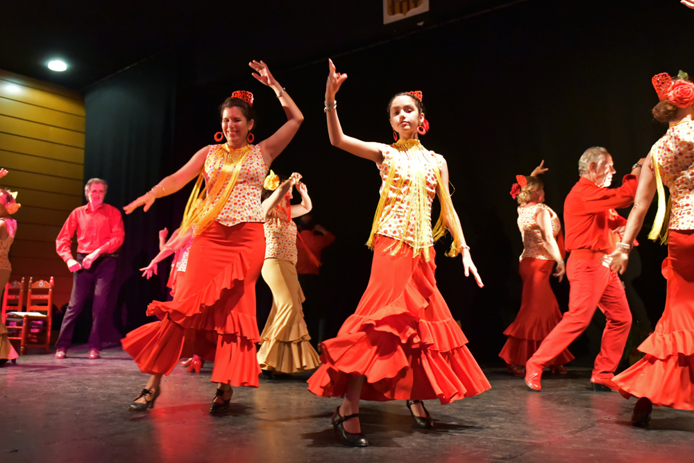 Spectacle Entre flamenco y lunares, photo 3