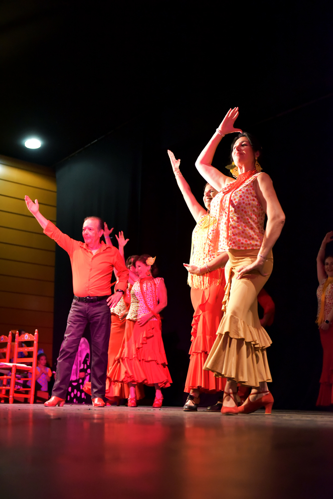 Spectacle Entre flamenco y lunares, photo 4