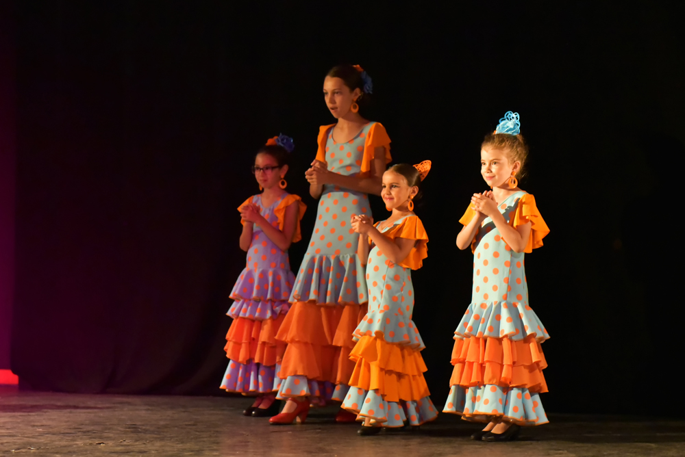 Spectacle Entre flamenco y lunares, photo 5