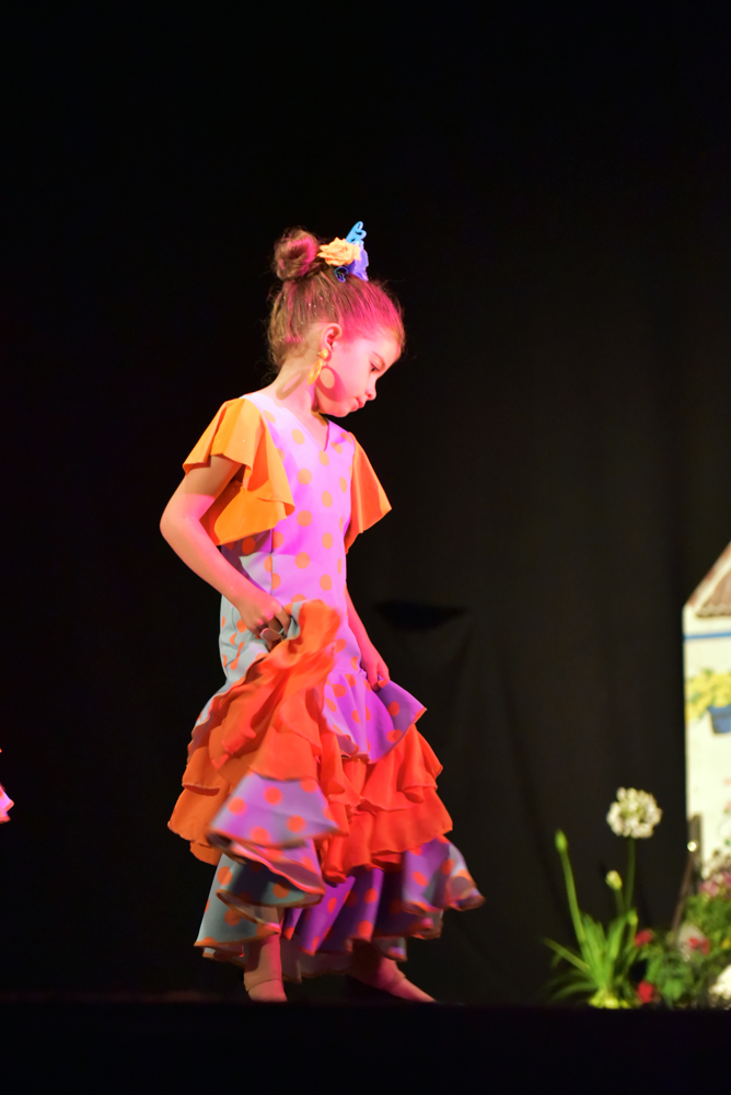 Spectacle Entre flamenco y lunares, photo 6