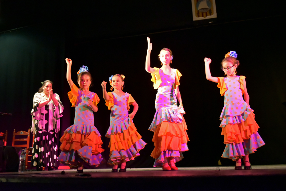 Spectacle Entre flamenco y lunares, photo 8
