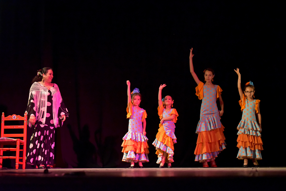 Spectacle Entre flamenco y lunares, photo 9