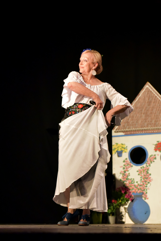 Spectacle Entre flamenco y lunares, photo 10