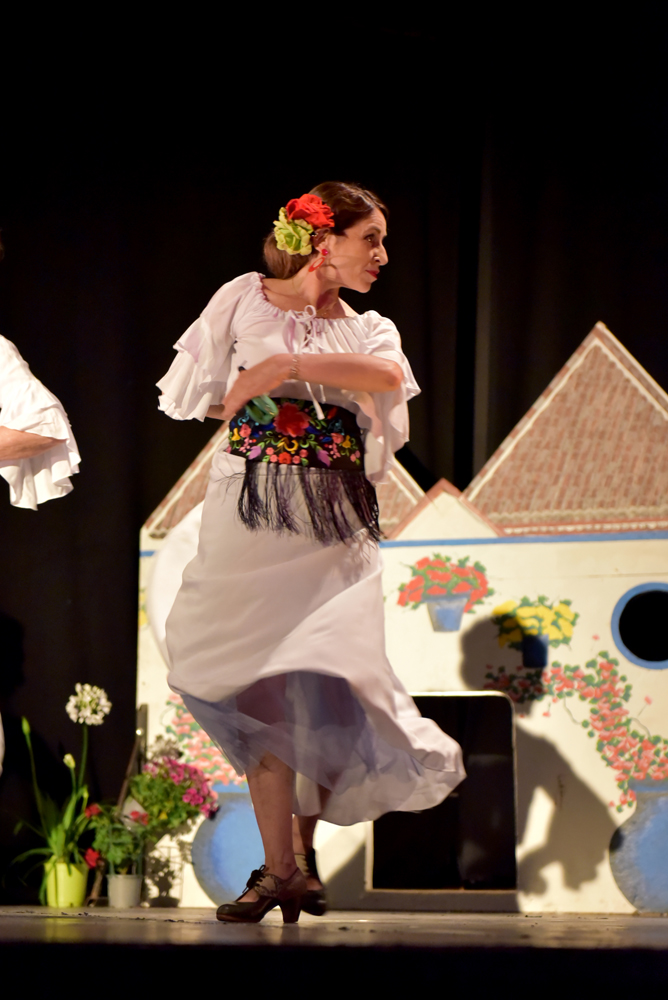 Spectacle Entre flamenco y lunares, photo 11