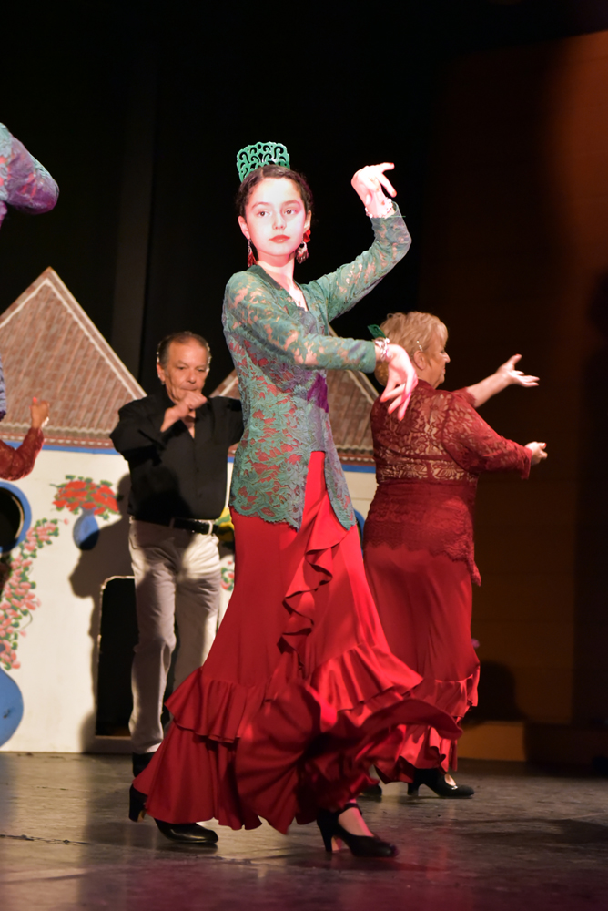 Spectacle Entre flamenco y lunares, photo 13