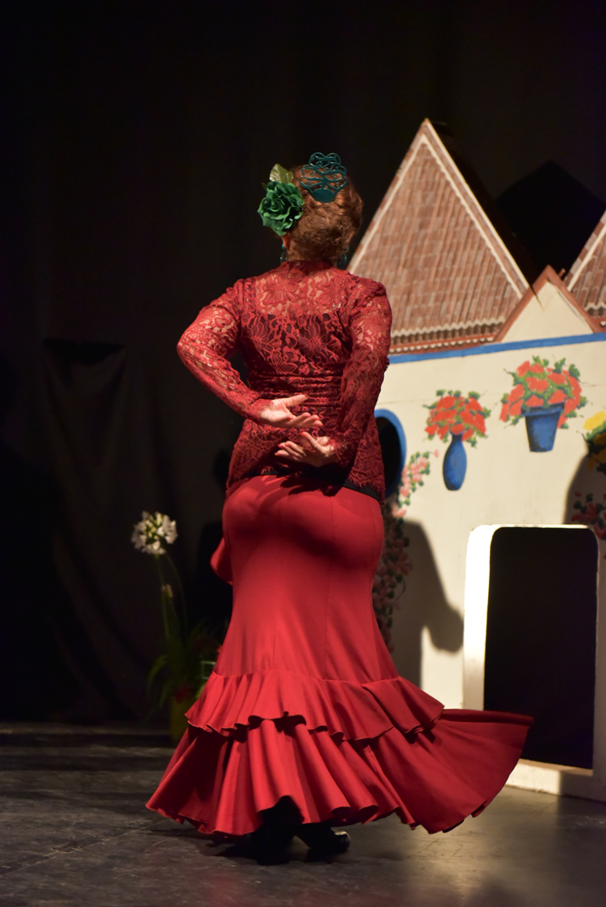 Spectacle Entre flamenco y lunares, photo 14