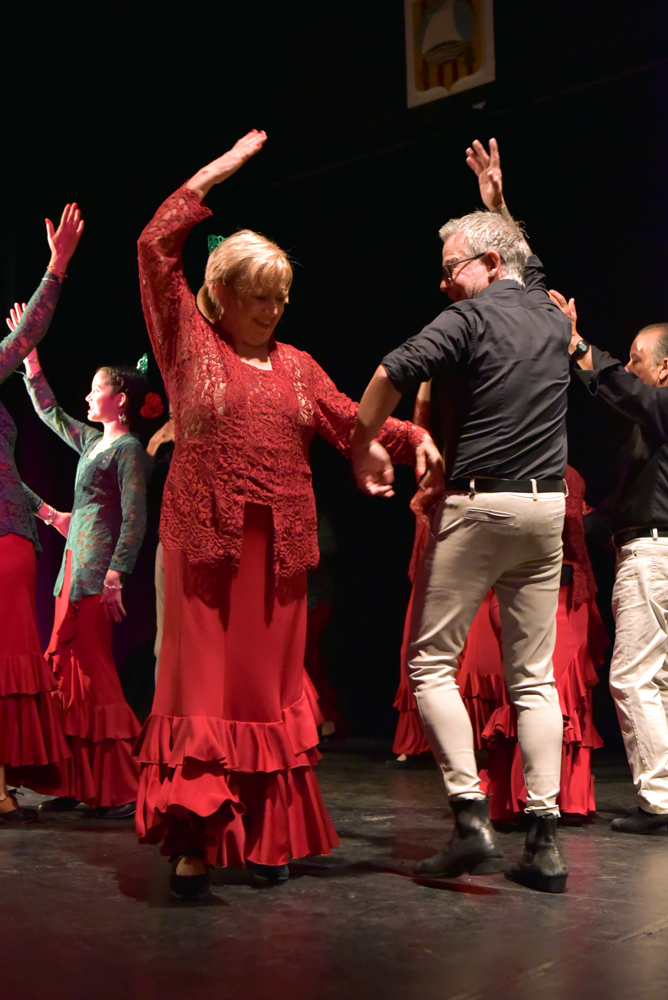 Spectacle Entre flamenco y lunares, photo 15
