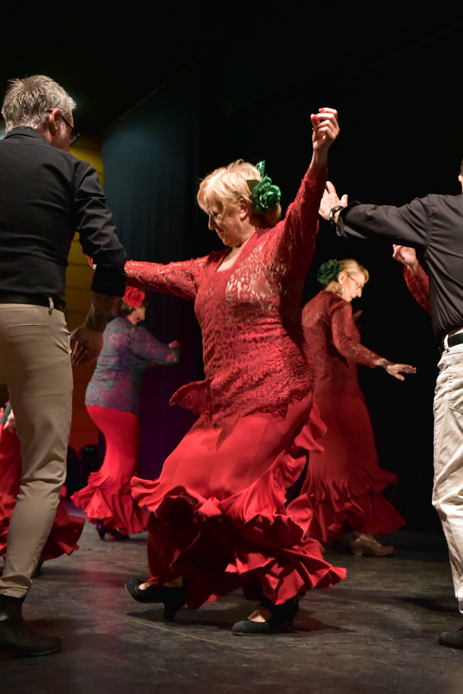 Spectacle Entre flamenco y lunares, photo 16