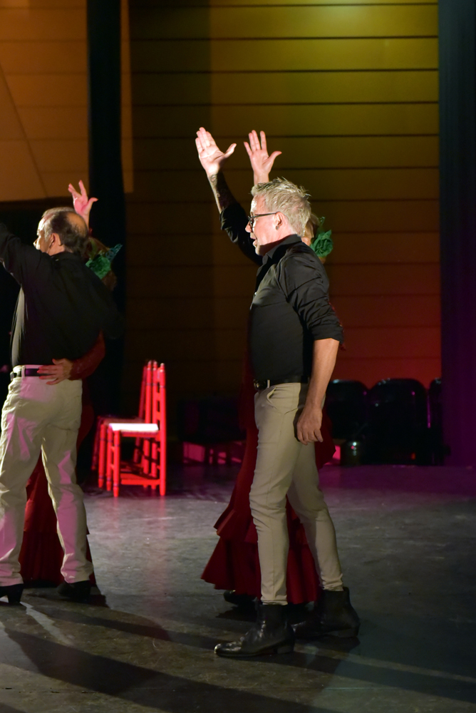 Spectacle Entre flamenco y lunares, photo 17