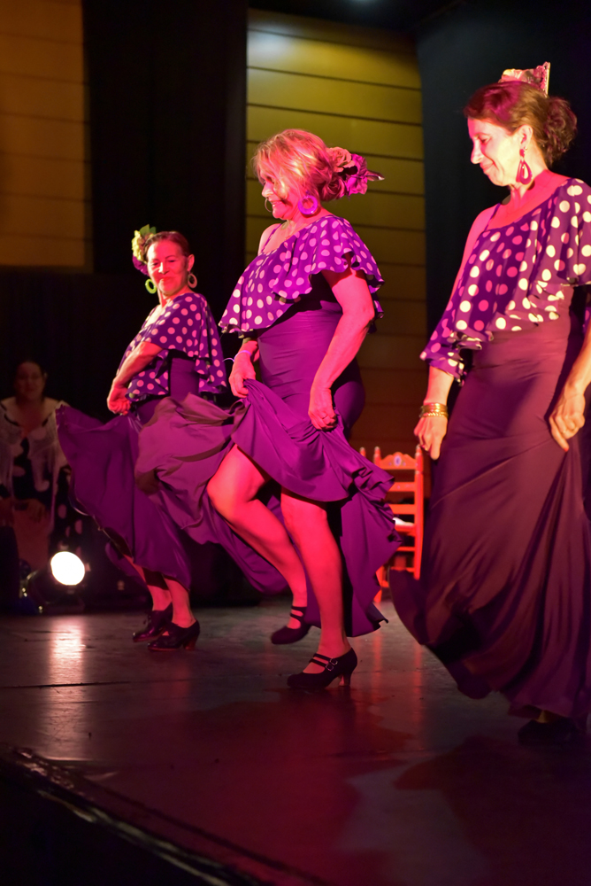 Spectacle Entre flamenco y lunares, photo 22