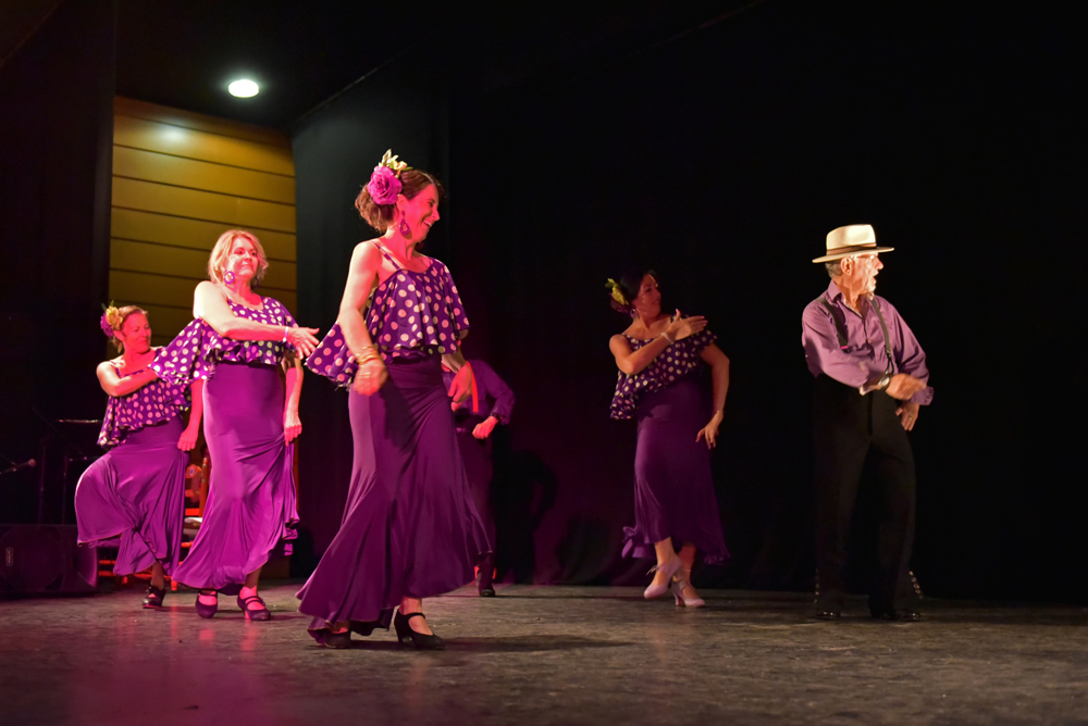 Spectacle Entre flamenco y lunares, photo 24