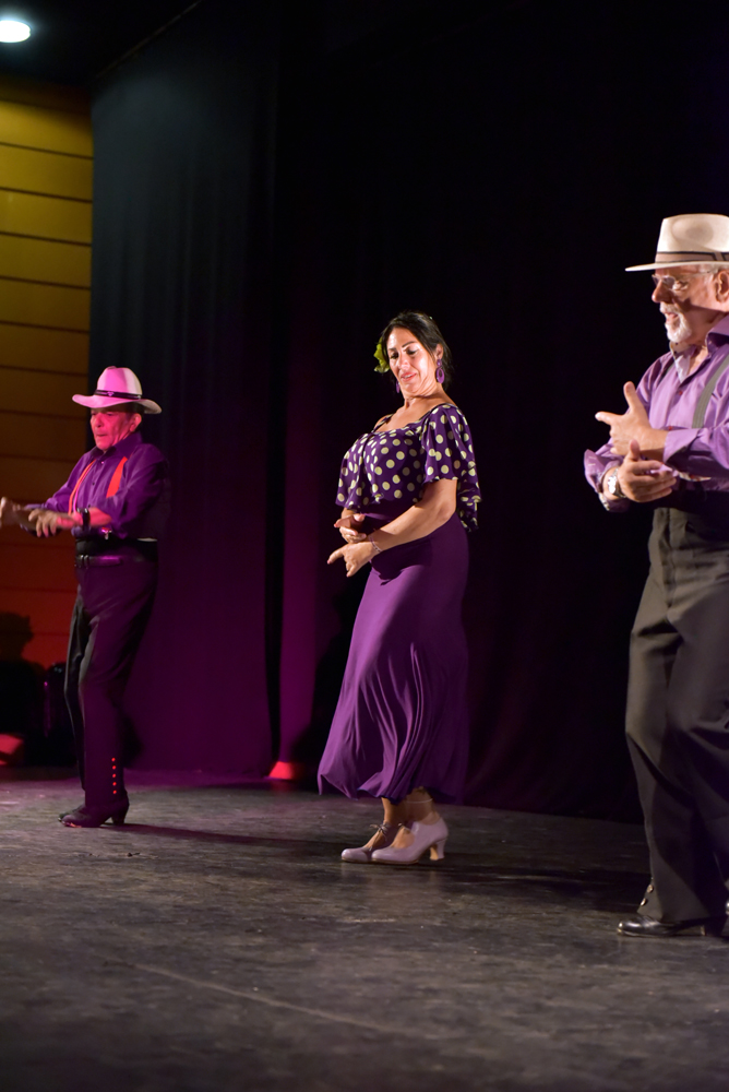 Spectacle Entre flamenco y lunares, photo 25