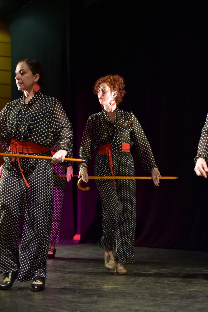 Spectacle Entre flamenco y lunares, photo 26