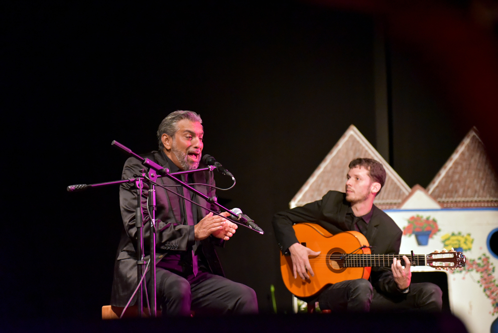 Spectacle Entre flamenco y lunares, photo 27