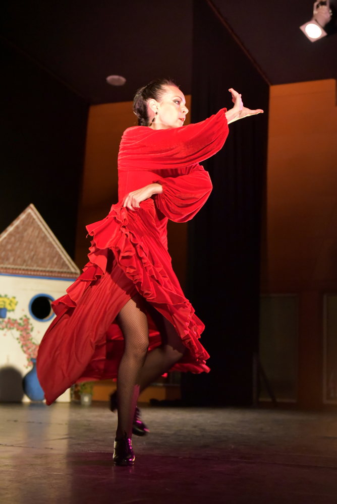Spectacle Entre flamenco y lunares, photo 30