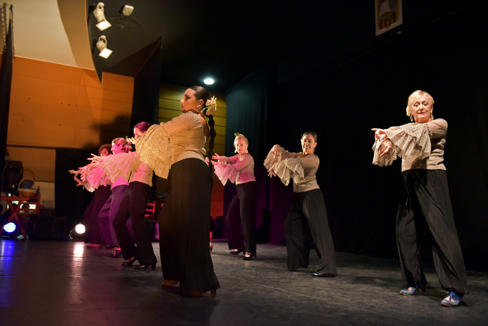Spectacle Entre flamenco y lunares, photo 31