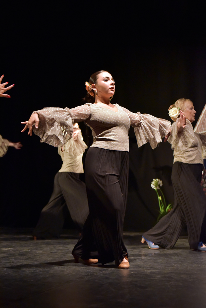Spectacle Entre flamenco y lunares, photo 32
