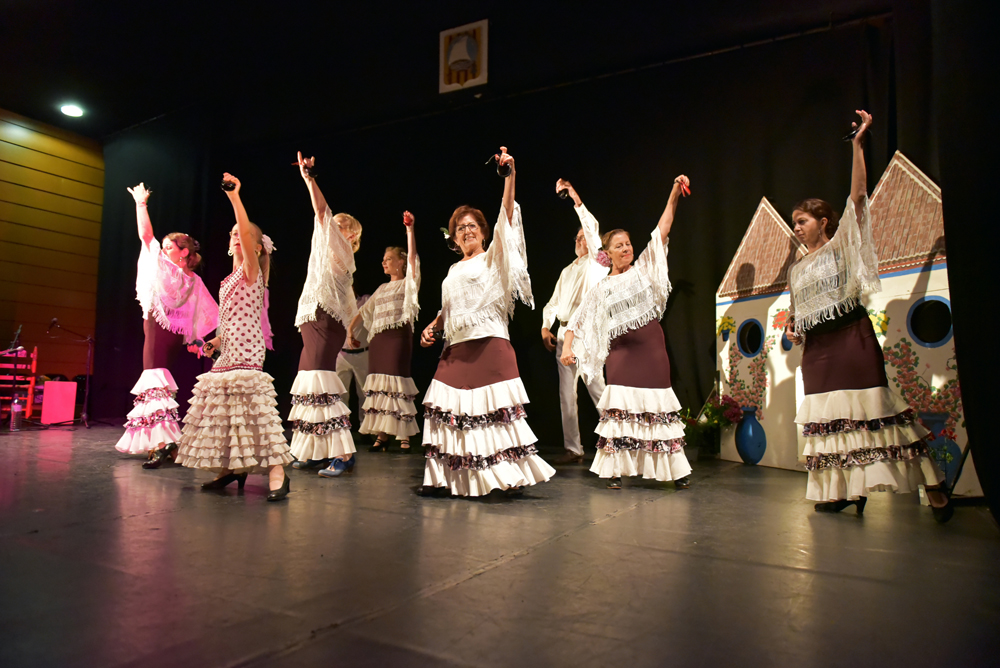 Spectacle Entre flamenco y lunares, photo 37