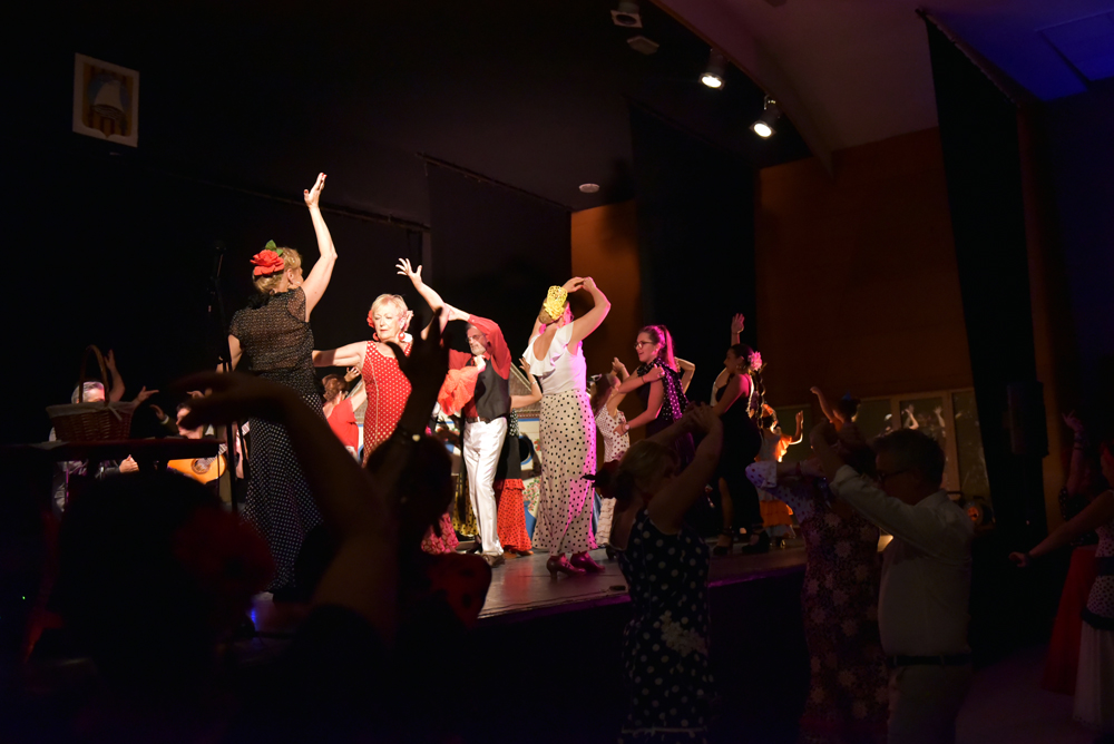 Spectacle Entre flamenco y lunares, photo 47