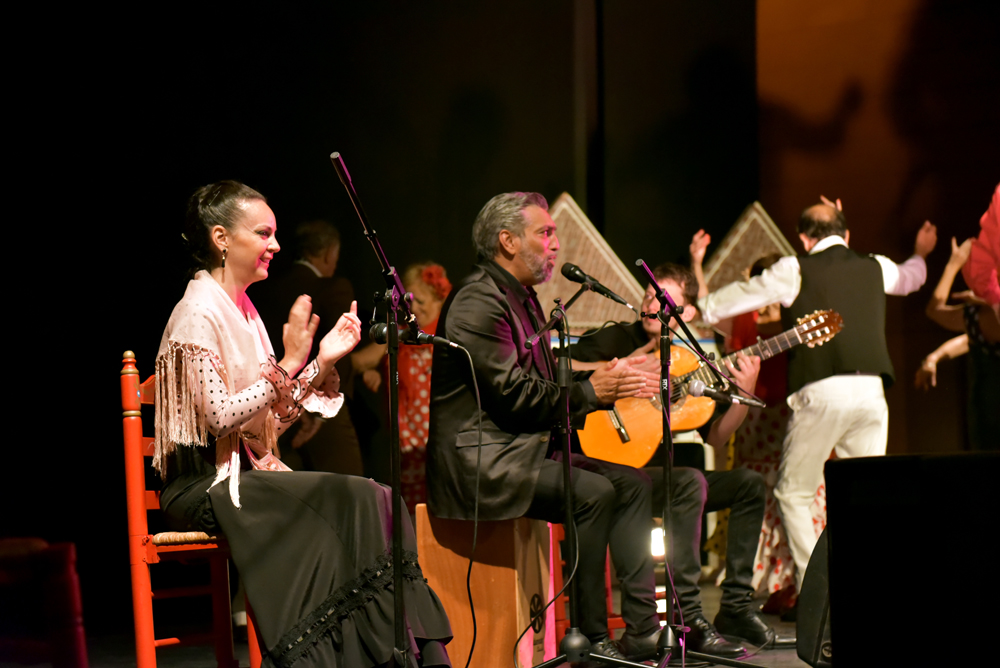Spectacle Entre flamenco y lunares, photo 48