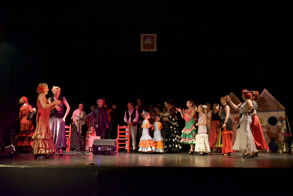 Spectacle Entre flamenco y lunares, photo 49