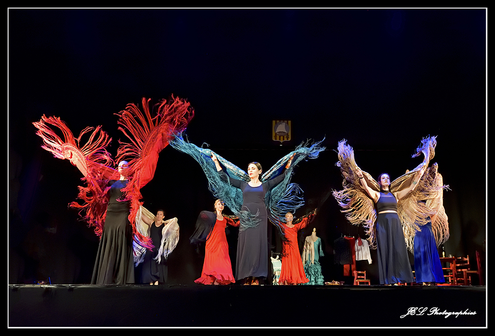 Spectacle Flamenca for ever, photo 7