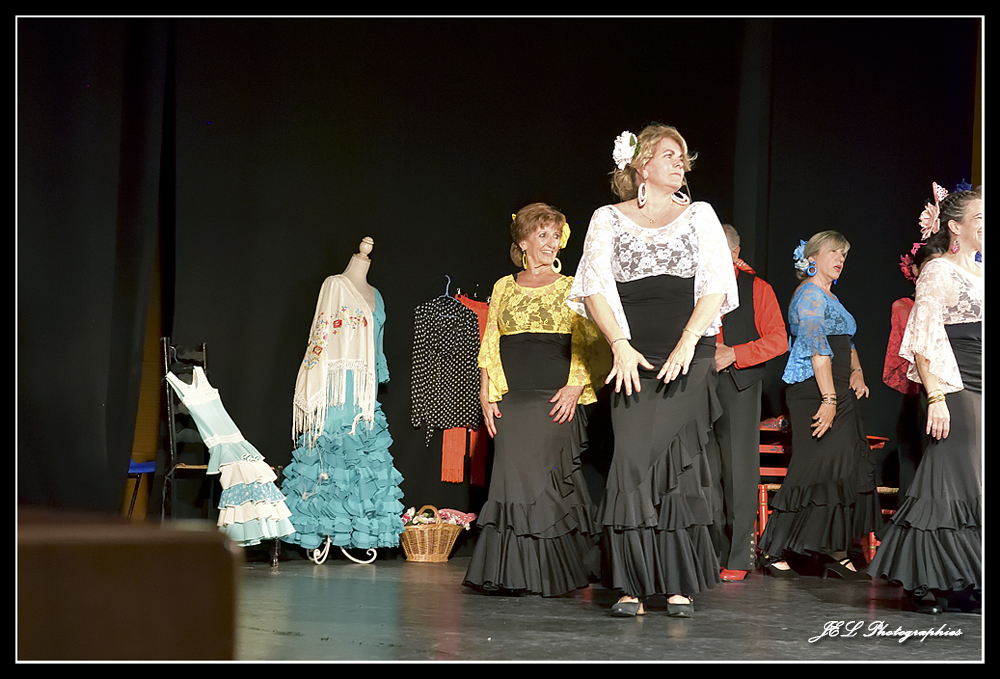 Spectacle Flamenca for ever, photo 14