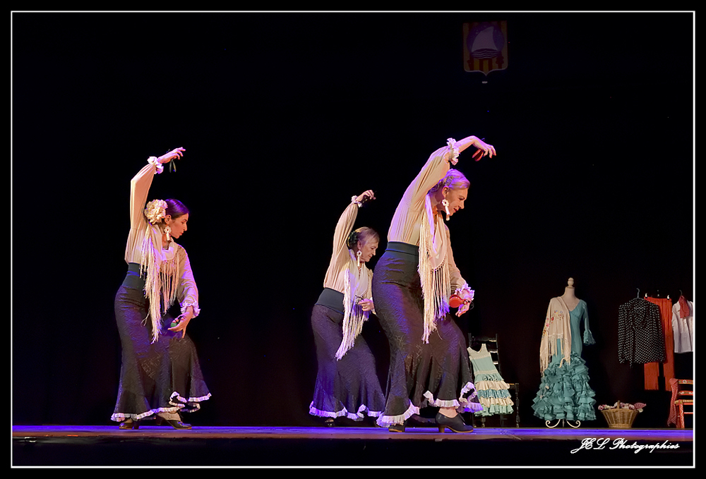 Spectacle Flamenca for ever, photo 17