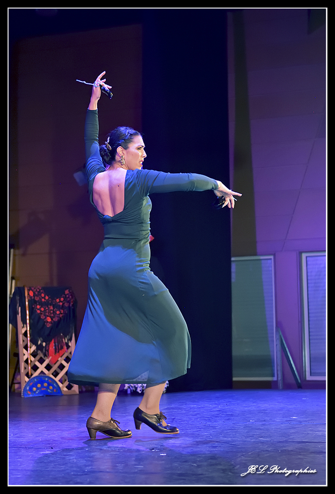 Spectacle Flamenca for ever, photo 19