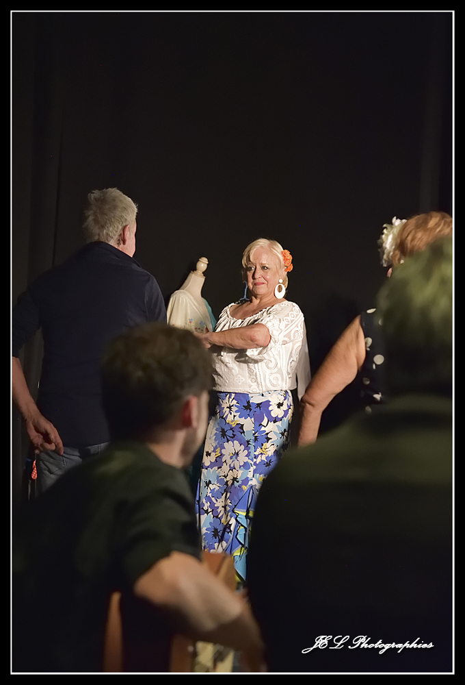 Spectacle Flamenca for ever, photo 31